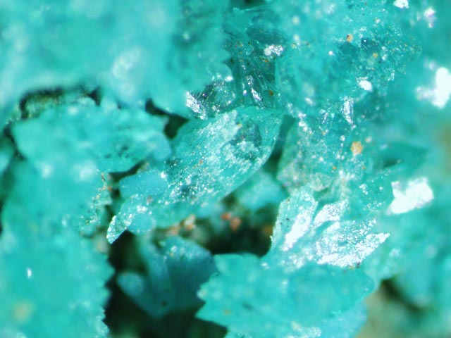 Kipushite