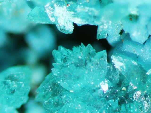 Kipushite