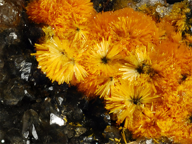 Boltwoodite