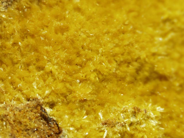 Parsonsite