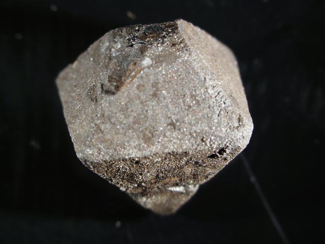 Hauerite