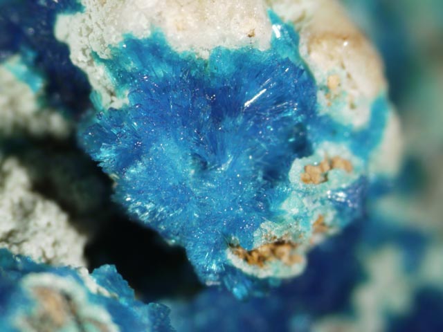 Serpierite