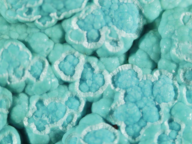 Glaucocerinite