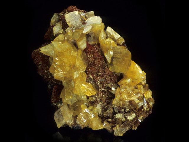 Paradamite
