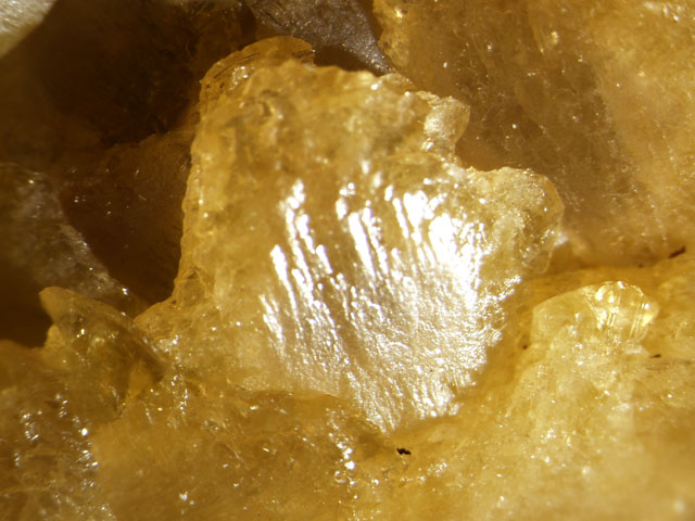 Paradamite