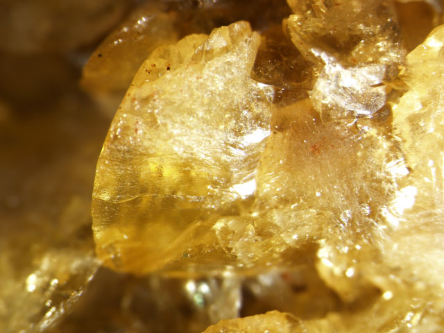 Paradamite