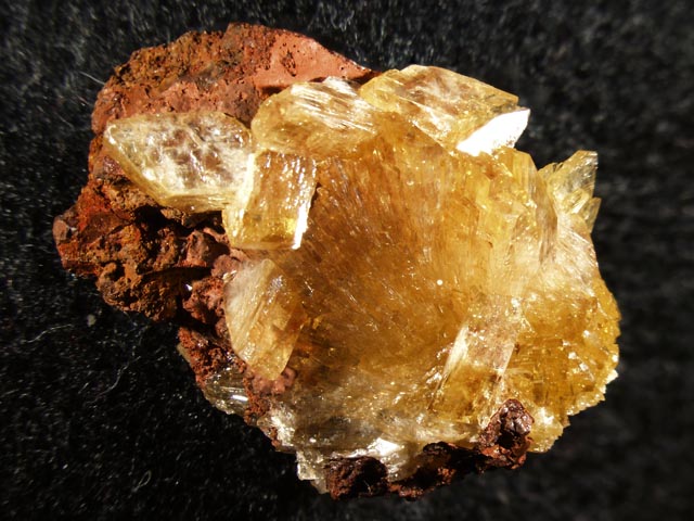 Paradamite
