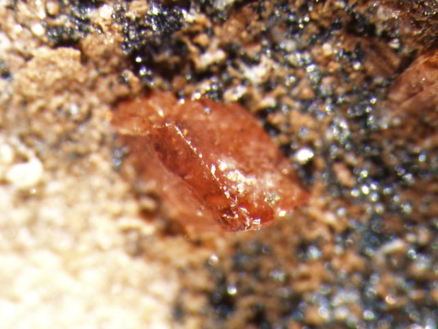Sarkinite with Serpierite