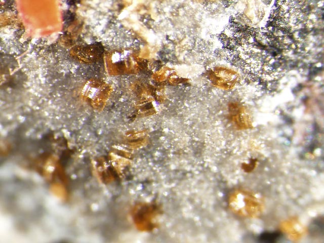 Pyroaurite