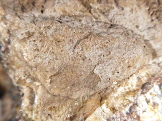 Mooreite