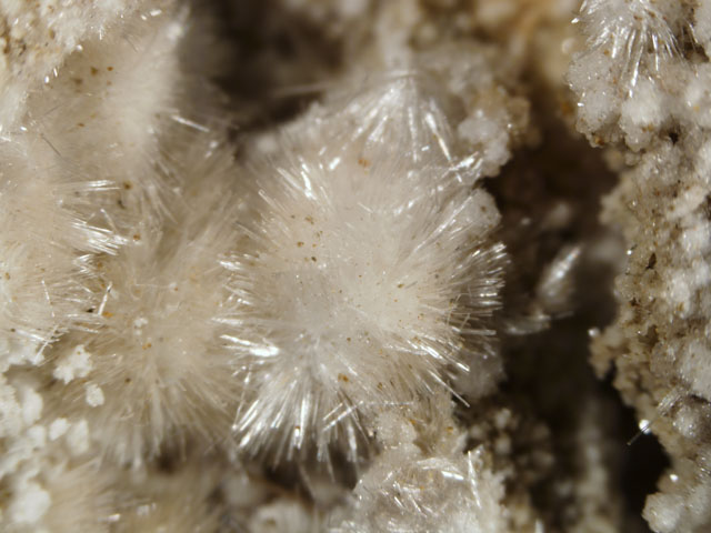 Gowerite