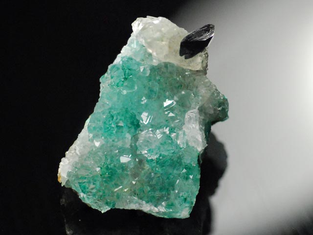 Clinoatacamite on Quartz